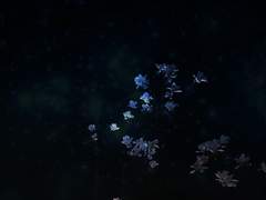 [BL] Nightmare(나이트메어)