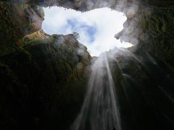 [희신강징] 龍 -2-