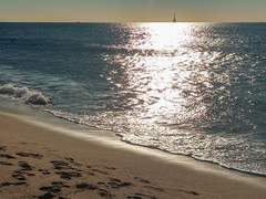 달링 하버 1-2 (結)