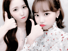 혼다 히토미 김채원