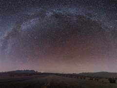 양배추 사용 설명서