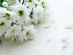 너를 알아가기에 10년은 너무 짧았어.