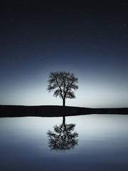 [판타스틱 포츈]