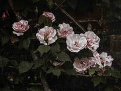 공허감이 웃도는 날일지라도