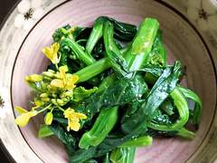 나노쨩과 맛토군