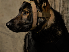 [원태세웅] 외로움의 자리