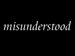 Misunderstood 17 完