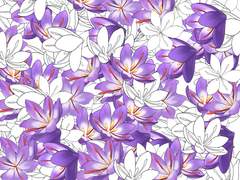 [무료]클립스튜디오 사프란 브러쉬