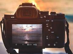 矢野原 琥白 / 一學年 / 男