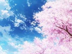 ( 사무설츠무 )' 공평 '