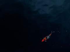 [치트퍼블] 은혜를 내리시어-下