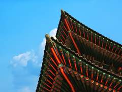 [찬백] 개화 ; 開花