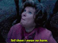 엄브릿지 조각글