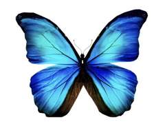 [뷔진] Bad Guy Good Boy [ 08 ]