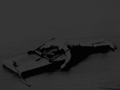 여왕의 최후는 오래 걸리지 않았다.