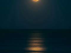 나 망한 것 같은데