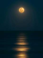 파도가 밀려온다.