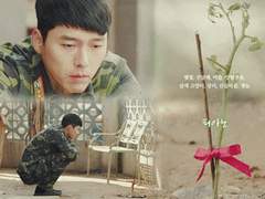 도마도 요리왕 리정혁