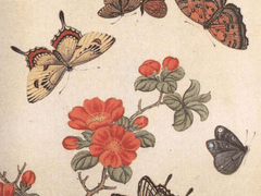 빗나간 화살 ⑤