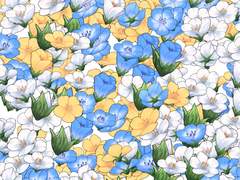 [유료] 클립 스튜디오 네모필라 브러쉬