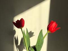 [해은] 다정의 미학 下 (完)