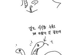 크기가 다르다.