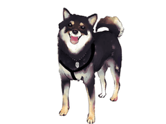 어둠의 cp9 상시 커미션 (무슬롯)