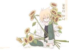 [샤먼킹] 꽃보다 하나(花よりハナ)-일본어판