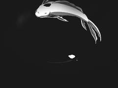 알페르그의 금환