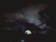 서영락 드림 썰