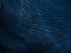 액자와 수조와 밤하늘