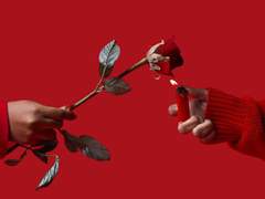 ( 토니시아 ) ' 시나브로 '