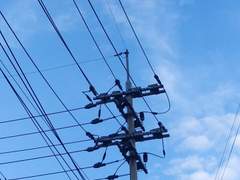 애인 있으세요? (1)