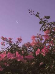 인소의 법칙 팬픽 _ 단편소설