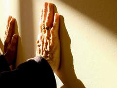 비밀 후원의 필방 [1] 수선화에게