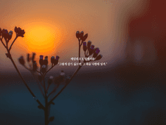 [베인밀레] 아침