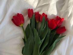 [혜우단] 영원한 행복, 또는 사랑