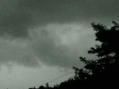 [유현예림] From Eden 2