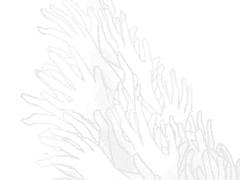 대죄식자化 합작