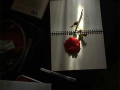 2. 불완전한 평온과 행복