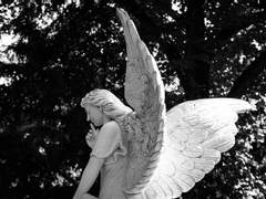 [토니바튼] PHANTOM