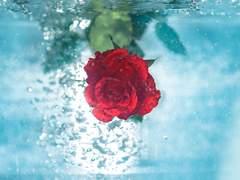 휴가를 낸 빌런은 빌런일까 일반인일까!