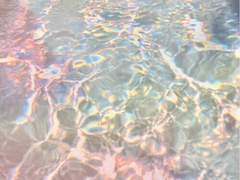 너는 나의 여름빛 외전(Side Story)