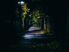 [안화여휘] 당신이 듣고 싶은 말