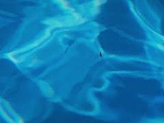 서류명: [물] 요한 테일드