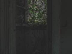 특이점 이후의 세계