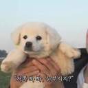 운명처럼너에게가겠다