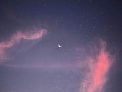 타츠유키 향수화 커미션