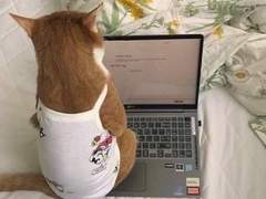 연휴 보내다가 갑자기 하는 인사