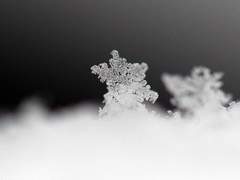 디아볼로-Diavolo: 제 1화